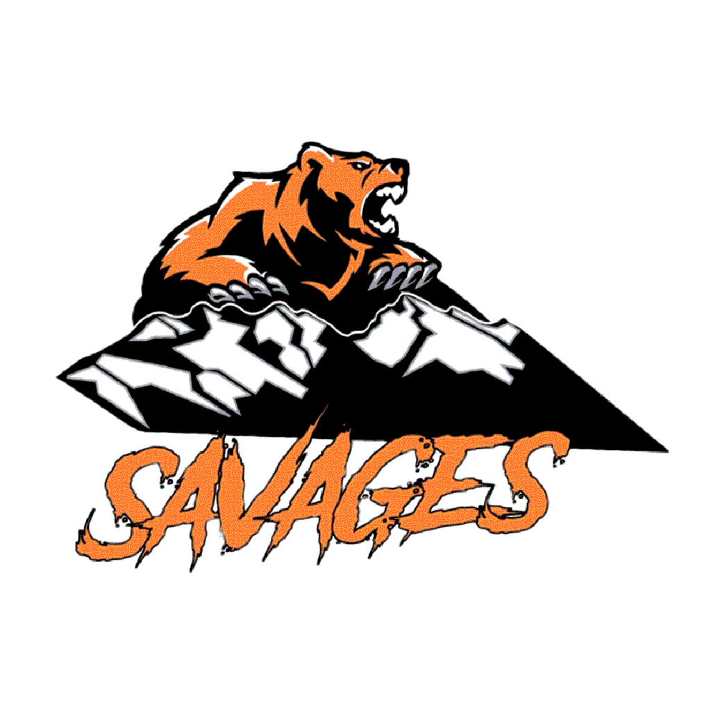 Salmon High School